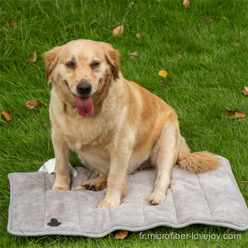 Serviette sèche de bain pour chien en chenille en microfibre douce